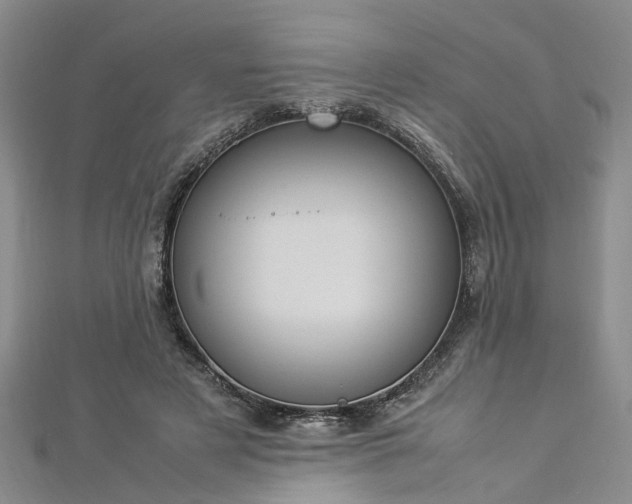 X0000112870497200908281628