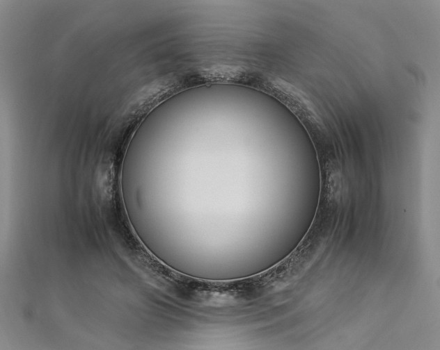 X0000112870498200908281628