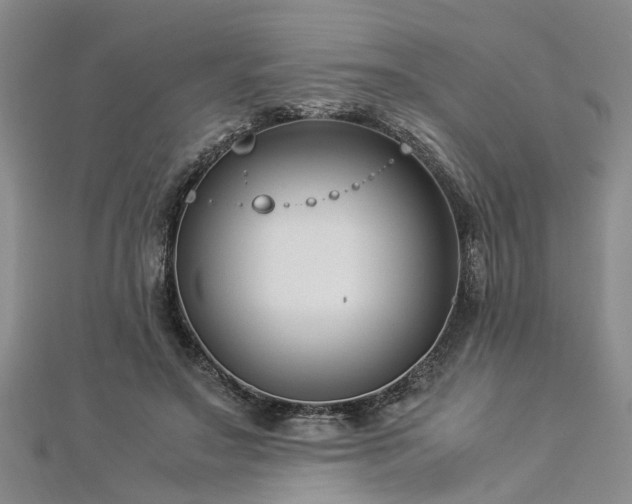 X0000112870499200908281628