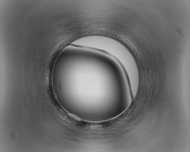 X0000112870501200908281627