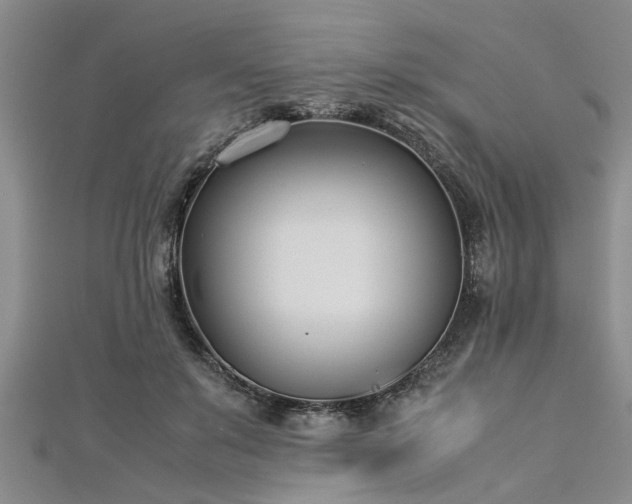 X0000112870503200908281627