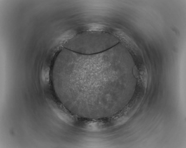 X0000112870504200908281627