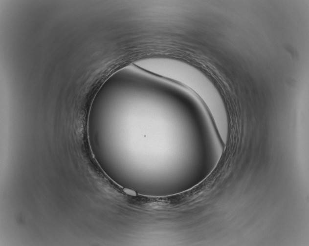 X0000112870505200908281627