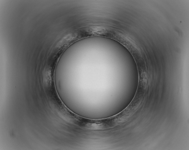 X0000112870506200908281627