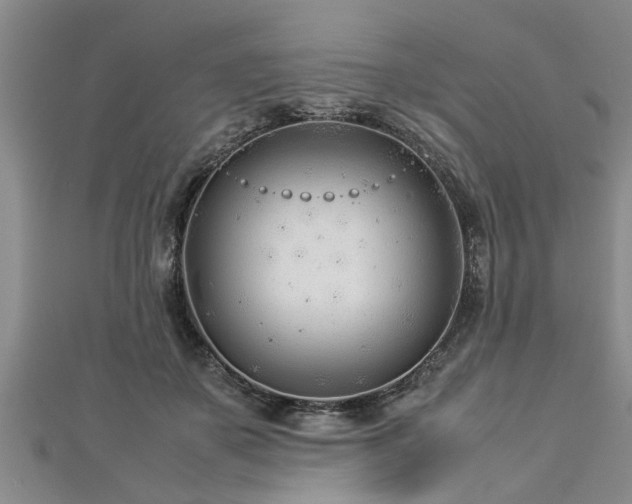 X0000112870507200908281627