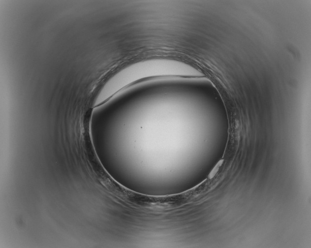 X0000112870508200908281627