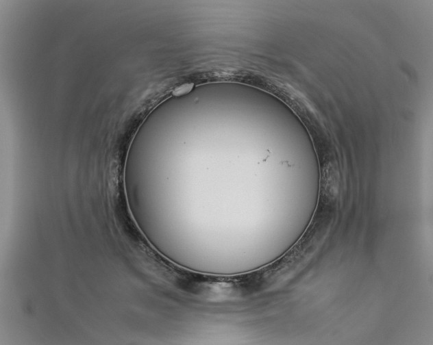 X0000112870509200908281627