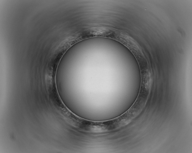 X0000112870510200908281627