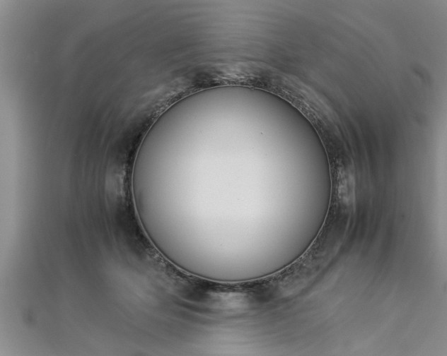 X0000112870514200908281627