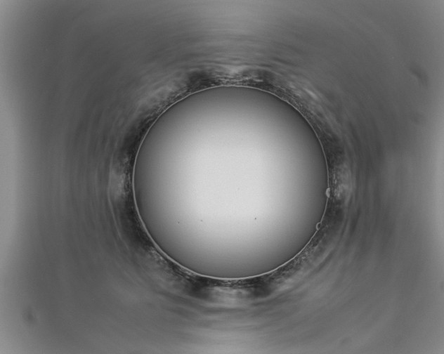 X0000112870515200908281627