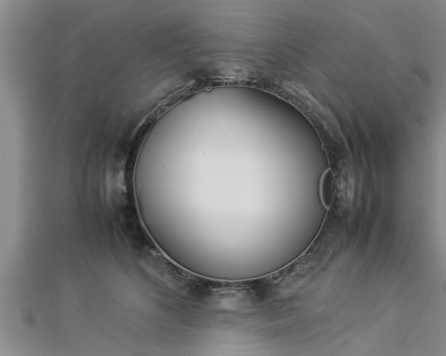 X0000112870516200908281627