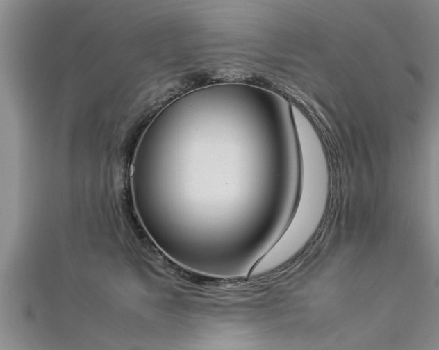 X0000112870517200908281627