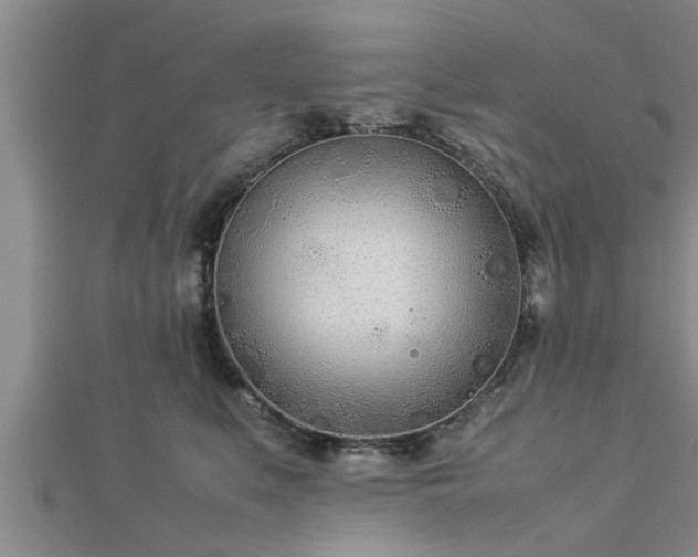 X0000112870519200908281627