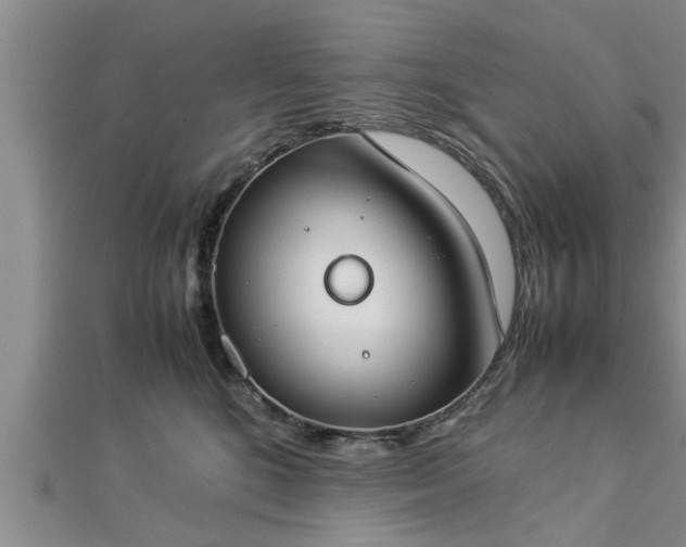 X0000112870520200908281627