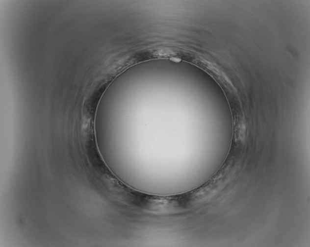 X0000112870521200908281627