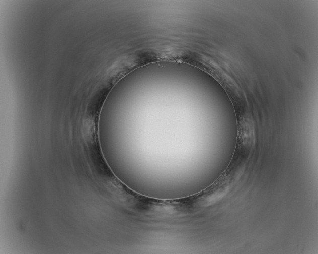 X0000112870523200908281627