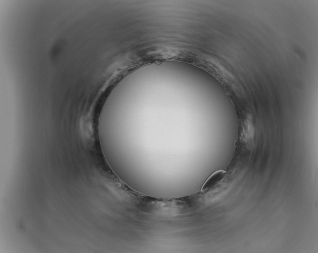 X0000112870524200908281627