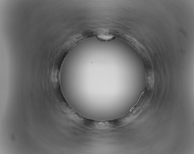 X0000112870525200908281627