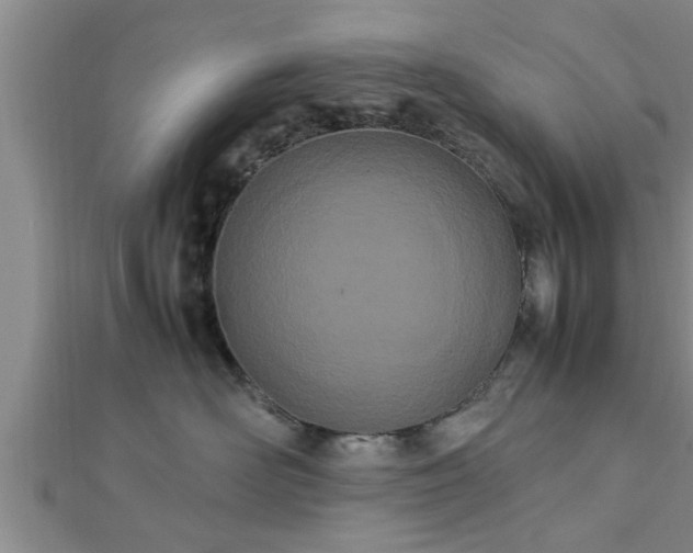 X0000112870526200908281627