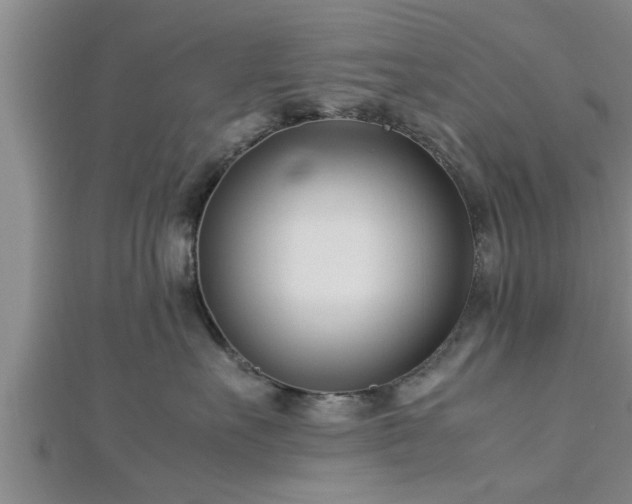 X0000112870527200908281627