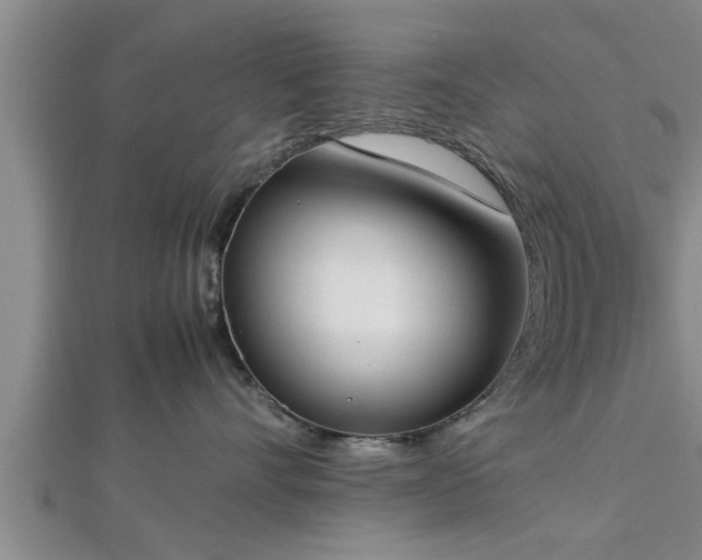 X0000112870528200908281627