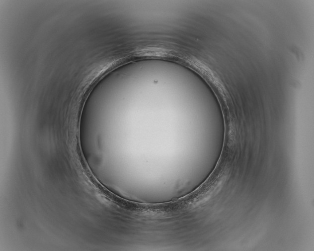 X0000112870529200908281627