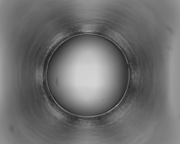 X0000112870530200908281627