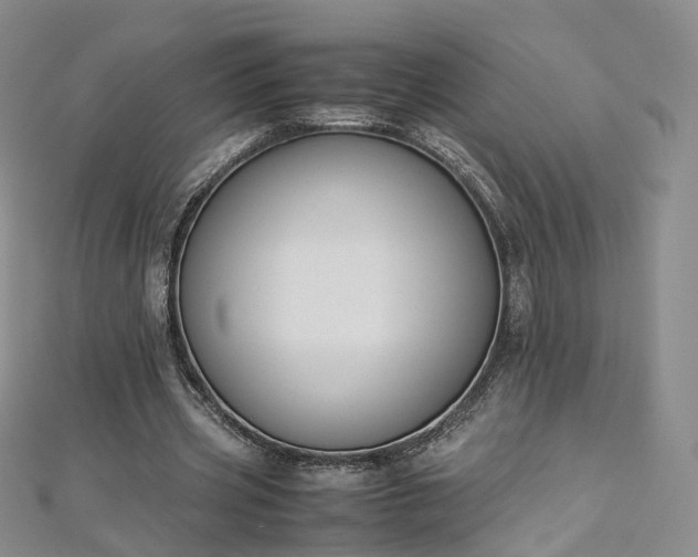 X0000112870533200908281627