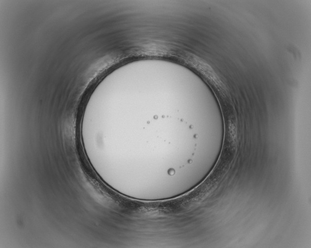 X0000112870534200908281627