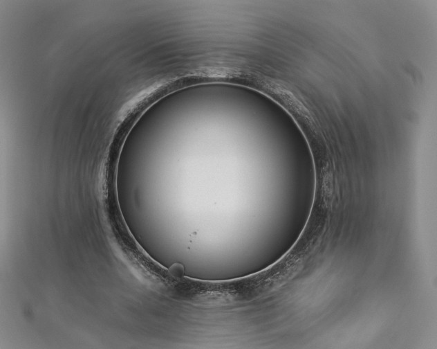 X0000112870536200908281627