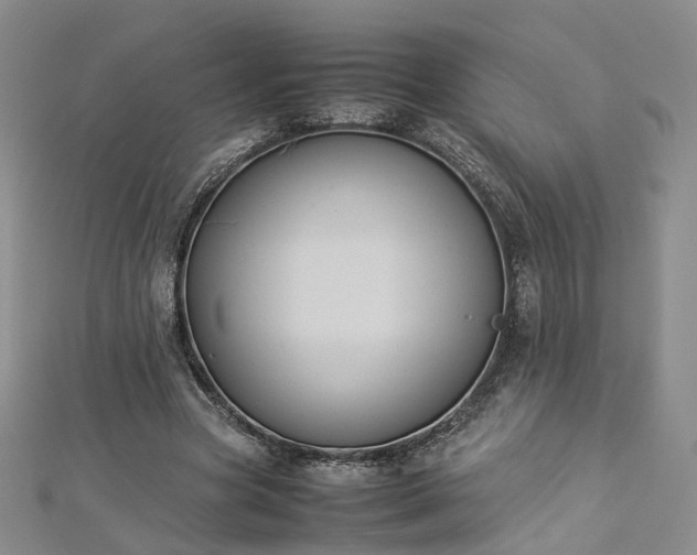 X0000112870537200908281627