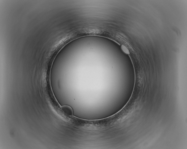 X0000112870538200908281627