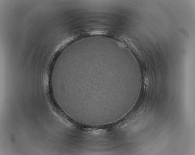 X0000112870539200908281627