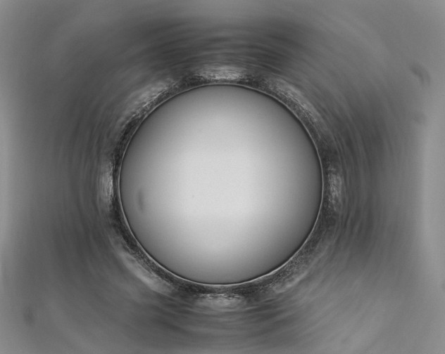 X0000112870541200908281627