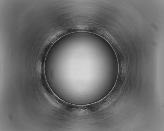 X0000112870542200908281627