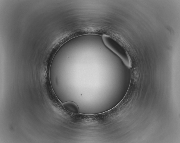 X0000112870544200908281627