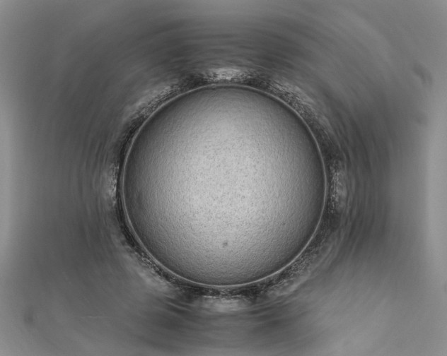 X0000112870545200908281627