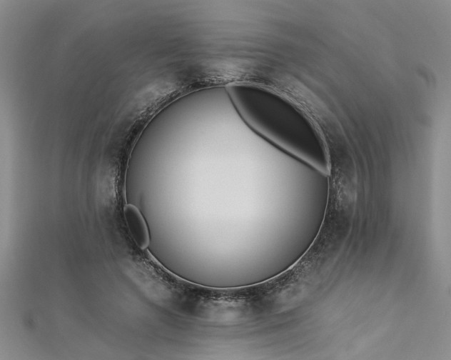 X0000112870546200908281627