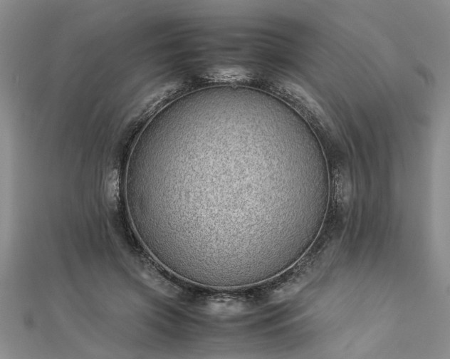 X0000112870549200908281627