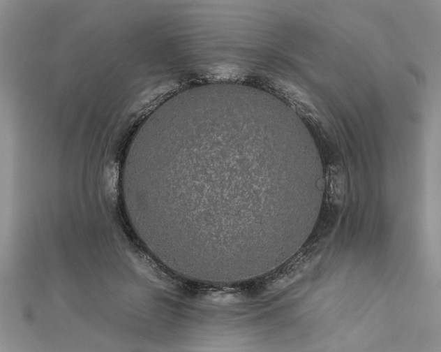 X0000112870550200908281627