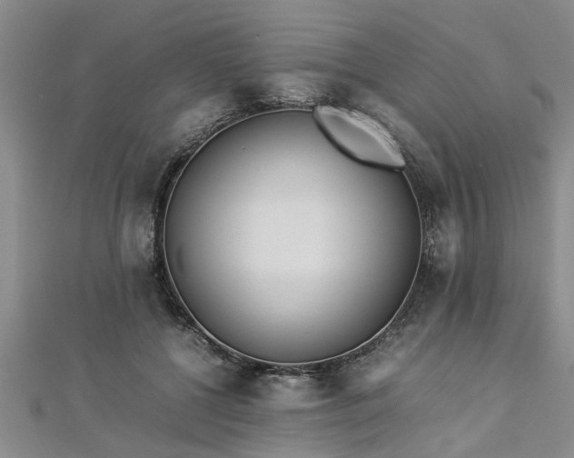 X0000112870552200908281627