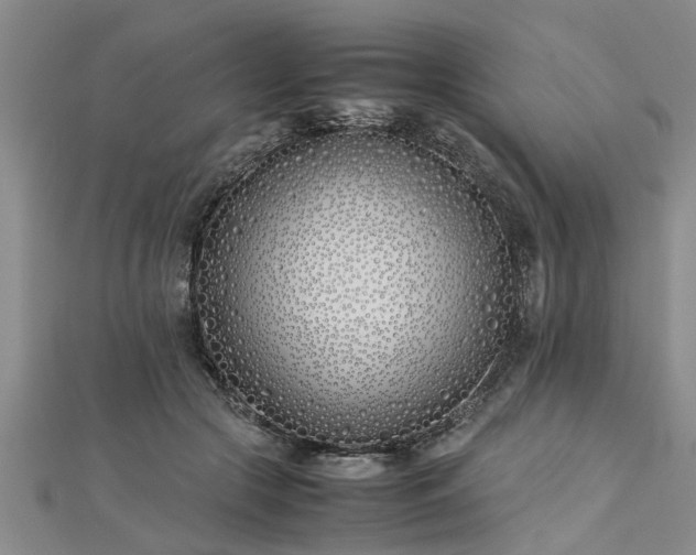 X0000112870553200908281627