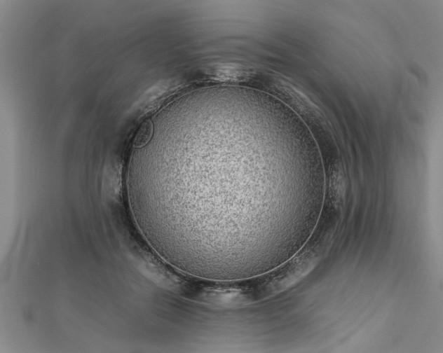 X0000112870554200908281627