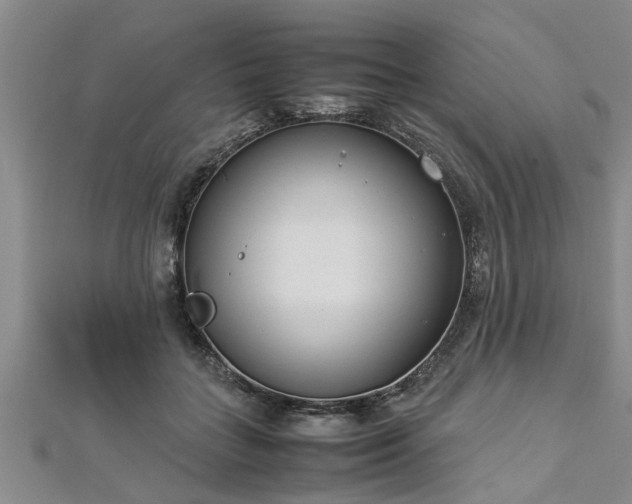 X0000112870555200908281627