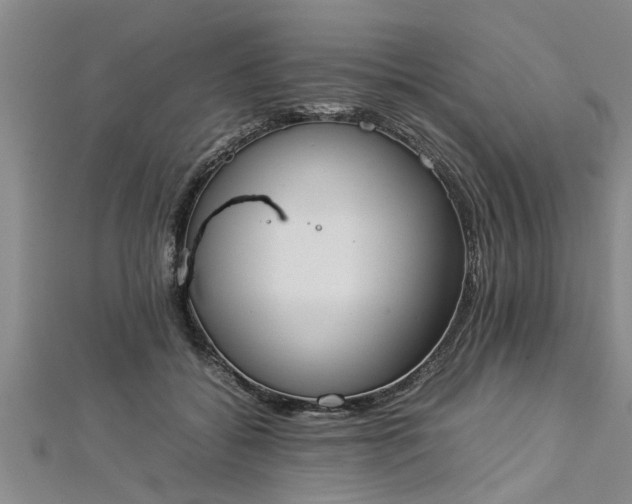 X0000112870556200908281627