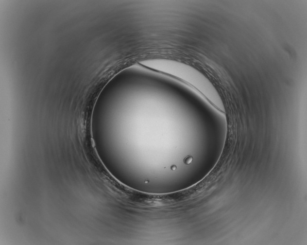 X0000112870558200908281627