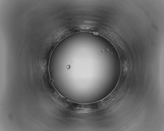 X0000112870559200908281627