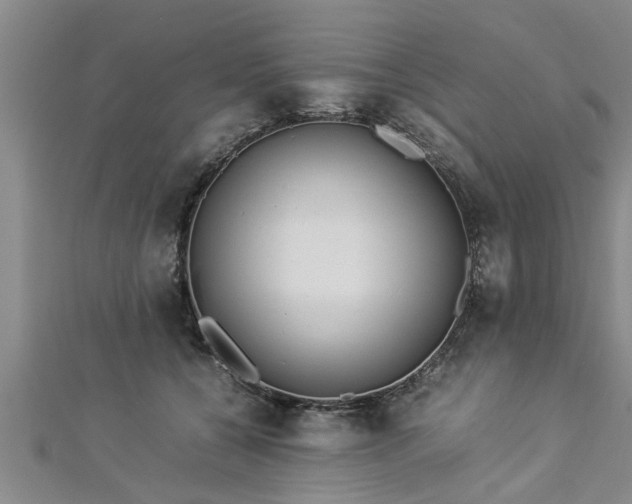 X0000112870560200908281627