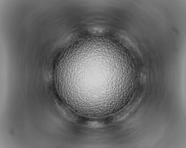 X0000112870561200908281627