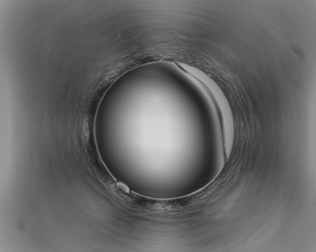 X0000112870562200908281627